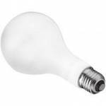 Westcott 550A 500w Photoflood Lamp - 220v (870022) Westcott 550A 500w Photoflood Lamp - 220v (870022)
